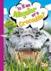 Is_it_an_alligator_or_a_crocodile_