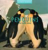 Penquins_and_their_homes