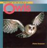 Welcome_to_the_world_of_owls