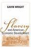 Slavery_and_American_economic_development
