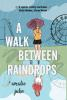 A_walk_between_raindrops