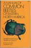 A_manual_of_common_beetles_of_eastern_North_America