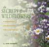 The_secrets_of_wildflowers