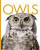 Owls___Valerie_Bodden