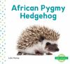 African_pygmy_hedgehog