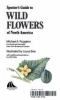 Spotter_s_guide_to_wild_flowers_of_North_America