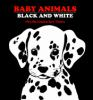 Baby_animals_black_and_white
