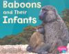 Baboons_and_their_infants