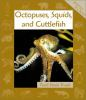 Octopuses__squids__and_cuttlefish