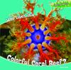 Who_lives_in_a_colorful_coral_reef_