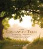 In_the_company_of_trees
