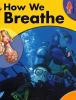 How_we_breathe
