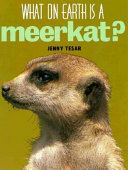 What_on_Earth_is_a_Meerkat_