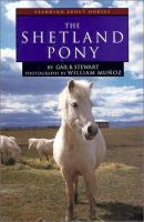 The_shetland_pony