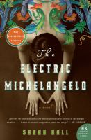The_electric_Michelangelo