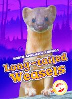 Long-tailed_weasels