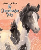 My_Chincoteague_pony