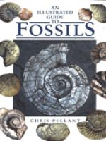 An_illustrated_guide_to_fossils