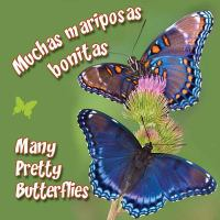 Muchas_mariposas_bonitas__