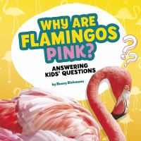 Why_are_flamingos_pink_