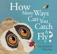 How_many_ways____can_you_catch_a_fly_