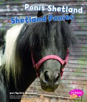 Shetland_ponies__Ponis_Shetland