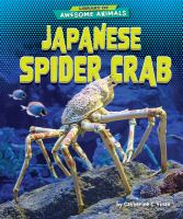 Japanese_spider_crab