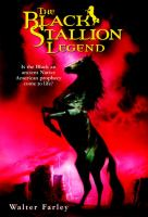 The_black_stallion_legend