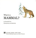 What_is_a_mammal_