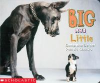 Big_and_little