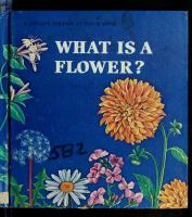 What_is_a_Flower_