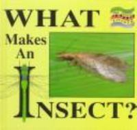 What_makes_an_insect_