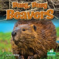 Busy__busy_beavers