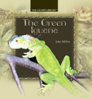 The_green_iguana