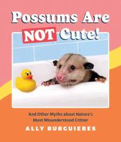 Possums_are_not_cute_