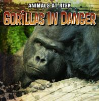 Gorillas_in_danger