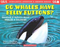 Do_whales_have_belly_buttons_