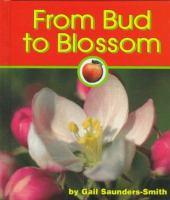 From_bud_to_blossom