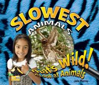 Slowest_animals