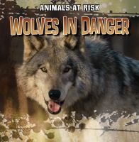 Wolves_in_danger