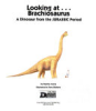 Brachiosaurus___A_Dinosaur_from_the_Jurassic_Period