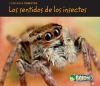 Bug_senses__Los_senidos_de_los_insectos