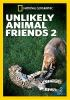 Unlikely_animal_friends_2